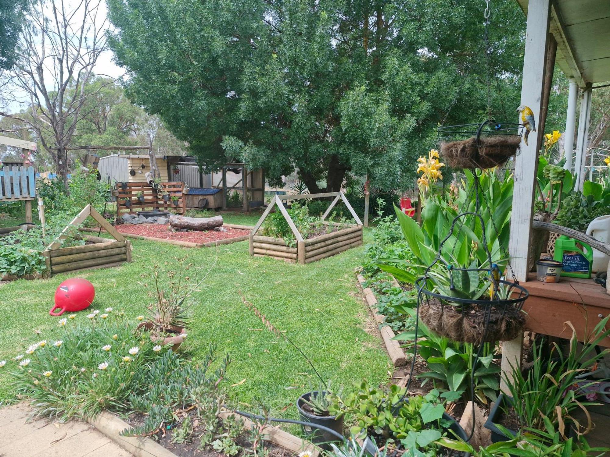 Farm On The Orchards Apartment Kaarimba Exterior photo